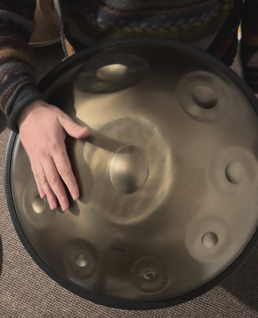 Miete 1 Monat - Sela 202 Harmony Handpan D Amara Stainless Steel